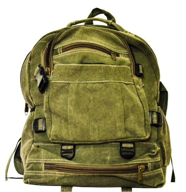 Picture of a backpack to carry paperwork