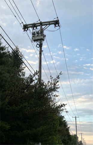 Utility Pole